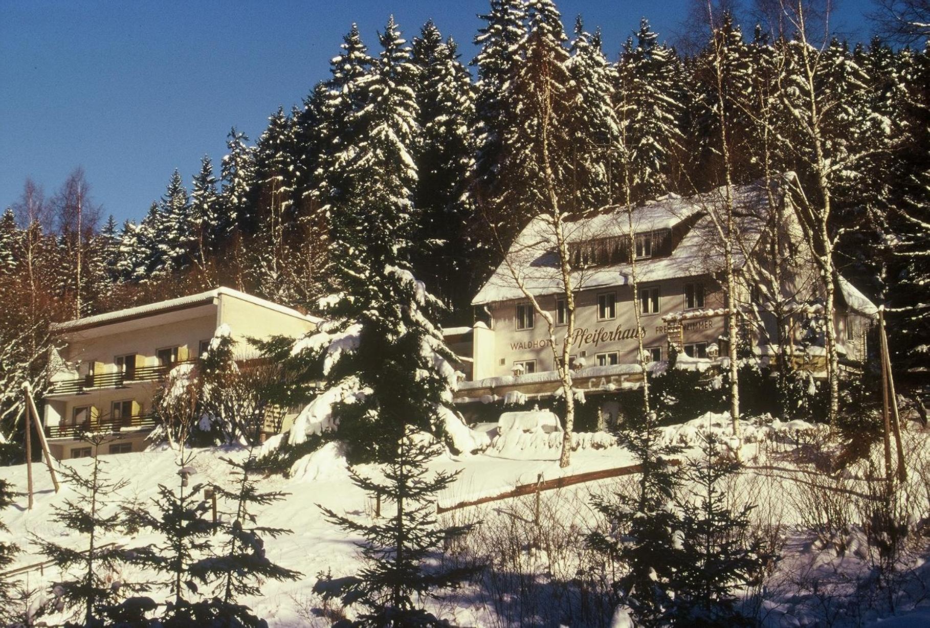 Waldpension Pfeiferhaus Warmensteinach Luaran gambar